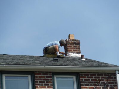 Live Bat Removal Schwenksville , PA