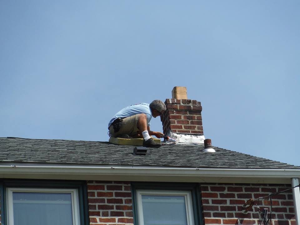 Live Bat Removal Royersford, PA