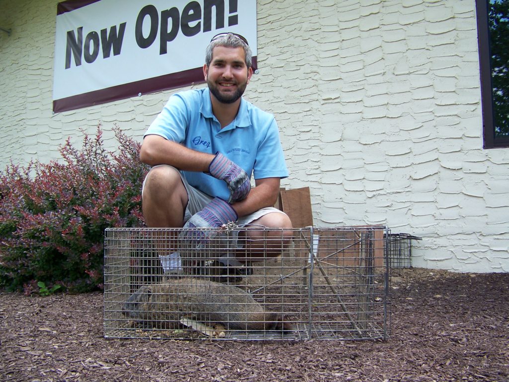 Wildlife Removal & Control