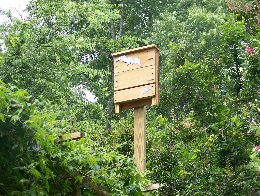 Bat House Installations in Paoli, PA Signs of a Bat Infestation in Paoli, PA