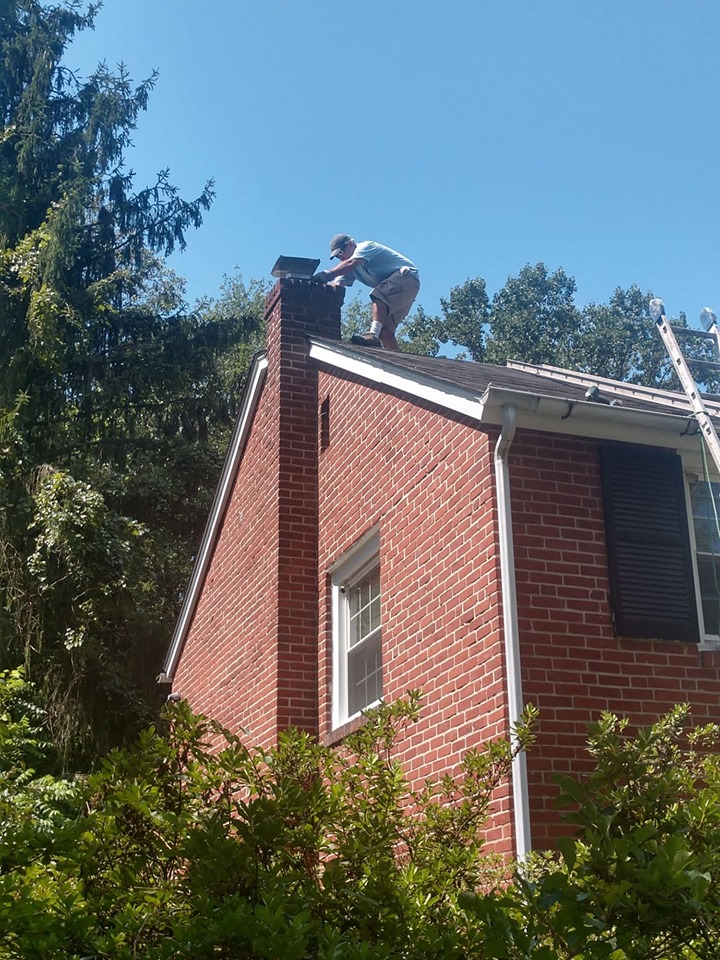 67798383_10157976234765400_9054033695555452928_n (1) Glenmoore, PA Squirrel Removal from Chimney